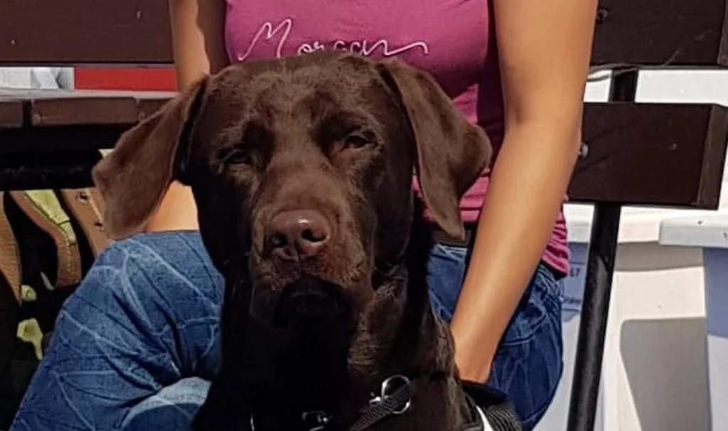 Дважды спасенный