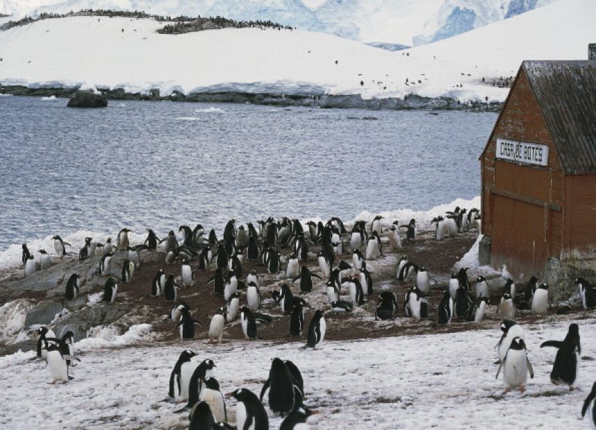 Это произошло 195 лет назад