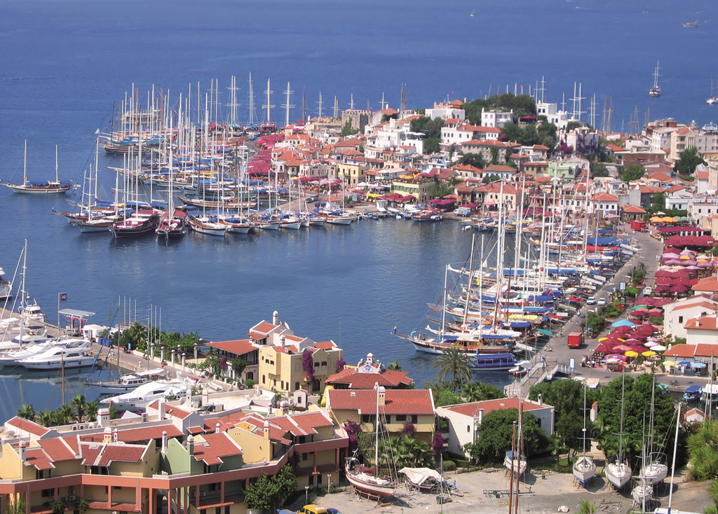 Турецкие и египетские перспективы