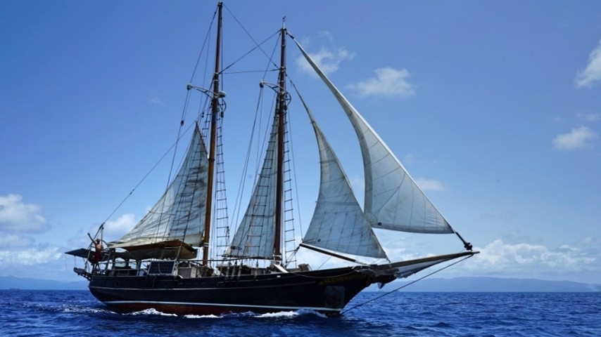 Пошла на дно