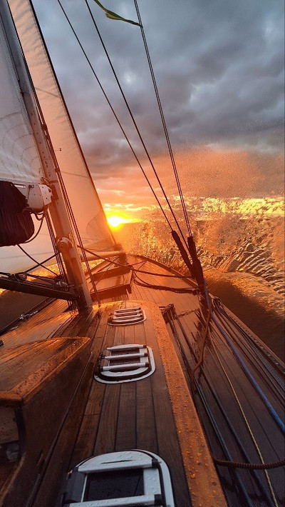 Лучшие в Питере