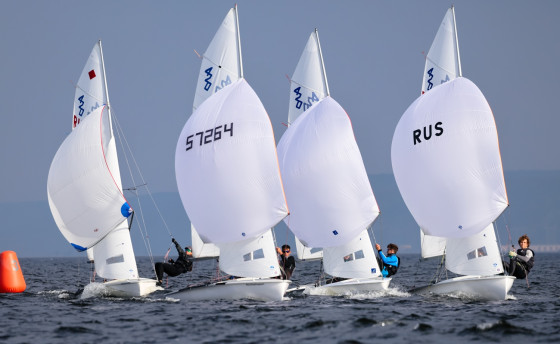 Чемпионы и призеры Тольятти