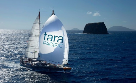 Бывшая яхта Питера Блейка Tara ограблена