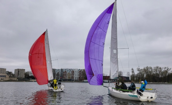 Вас вызывают на дуэль. Для чего?