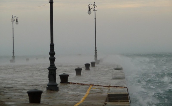 Когда родилась бора