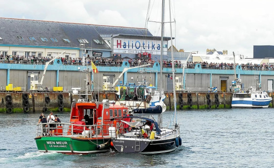 Опять те самые косатки…