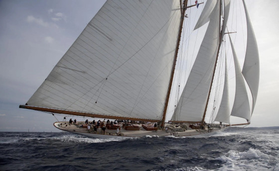 Les Voiles de Saint-Tropez и Евгения Бакунова