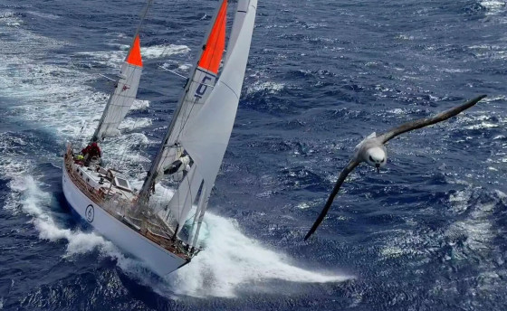 Ocean Globe Race 2027. На пороге нового сезона