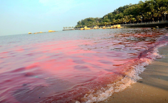 Круговорот воды… в Библии