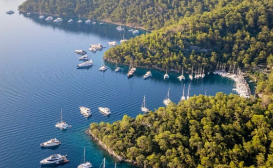 Цвет турецкой неожиданности…