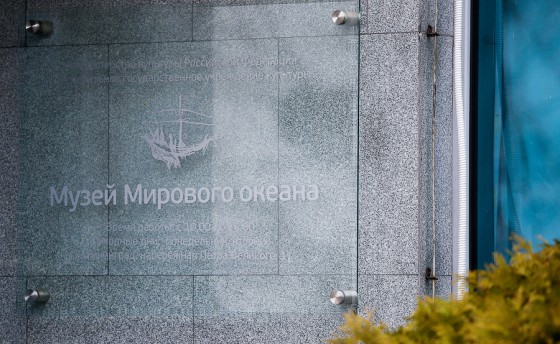 Воссоздается «Дракон»
