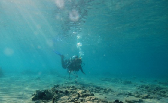 «Индевор» найден?