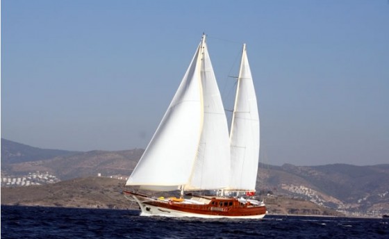 Турция нам поможет