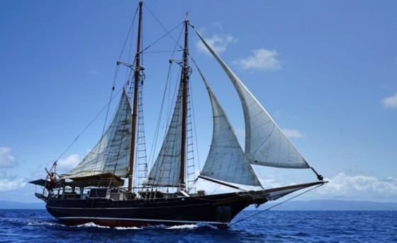 Пошла на дно