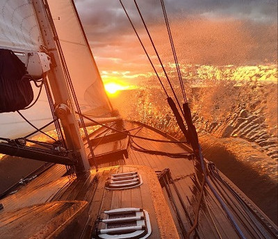 Лучшие в Питере