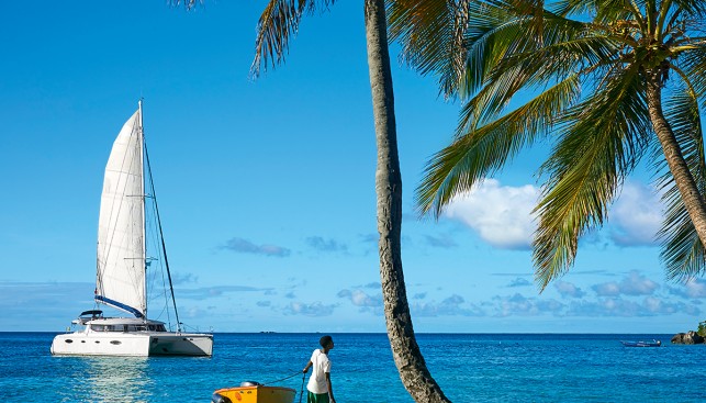 Чартерный катамаран перед одним из лучших пальмовых пляжей на Тобаго