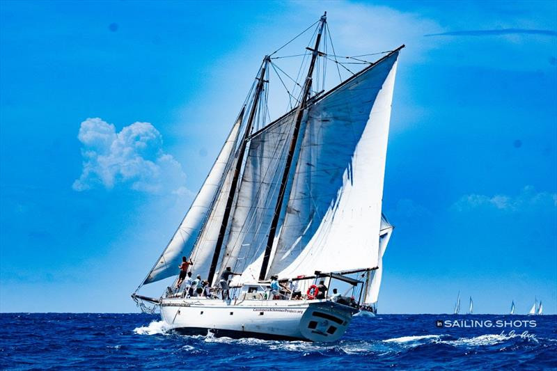 Cassiopea II