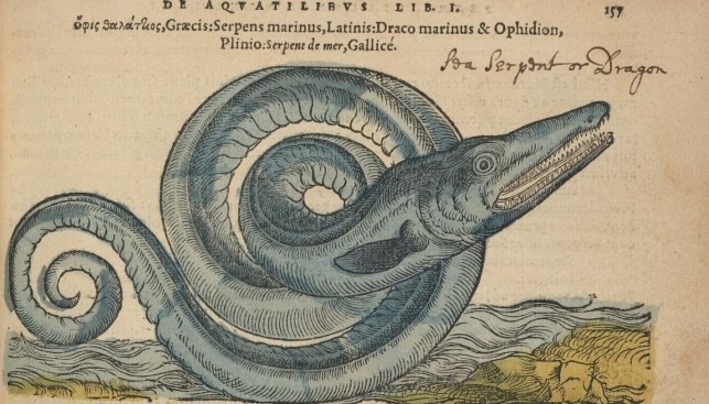 Так выглядел морской змей согласно Плинию. I век н. э.