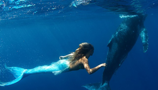 Австралийка Ханна Фрезер работает… русалкой. В девять смастерила первый хвост из пластмассы, а сейчас в обличье русалки плавает в аквариуме с дельфинами и китами.