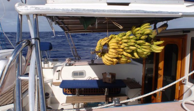 Бананы на острове не роскошь, а ежедневное меню