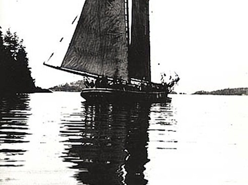 "Каско"