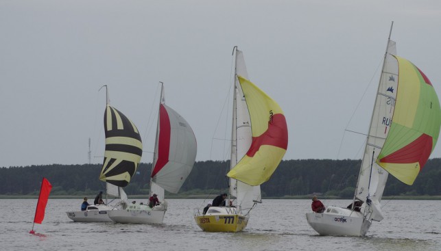 Pskov Micro Cup