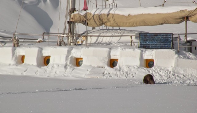 Во время зимовки в Гренландии Робертсон превратил свою яхту в «иглу»